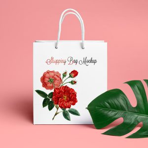 چاپ ساک دستی